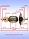 Ротор к Bosch GSH 5 BASIC