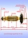 Ротор к Bosch GWS 750-115 E