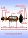 Ротор к Bosch GWS 11-125 CI