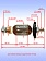 Ротор к Bosch PBH 2500 RE
