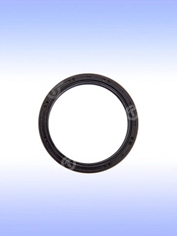 Кольцо к Bosch GBH 10 DC