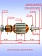 Ротор к Bosch PEX 220 A